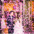 Popper per feste per matrimoni petali di rosa